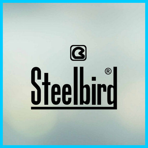 rsz steelbird.png