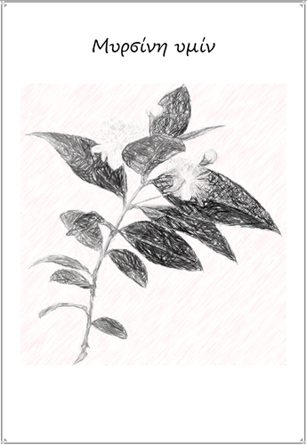 Myrsini Cover.png