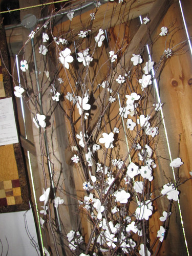 IMG 4308.jpg