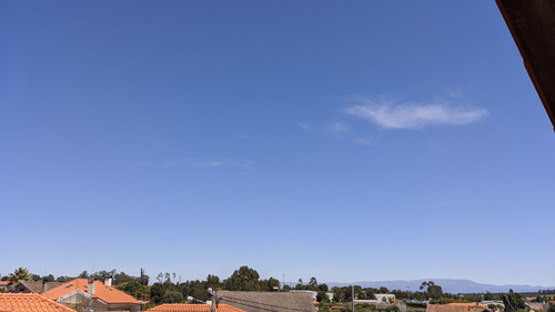 IMG 20220609 150609.jpg