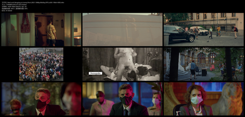 Bad.Luck.Banging.or.Loony.Porn.2021.1080p.BluRay.DTS.x265 10bit HDS.mkv.png