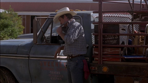 Flesh.and.Bone.1993.1080p.BluRay.REMUX.AVC.DTS HD.MA.5.1 TRiToN.133.jpg