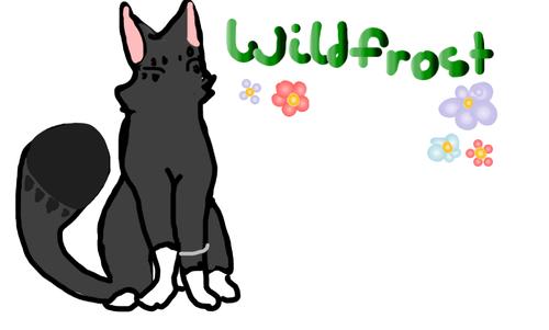 Screenshot 2022 06 17 10.05.58 AM