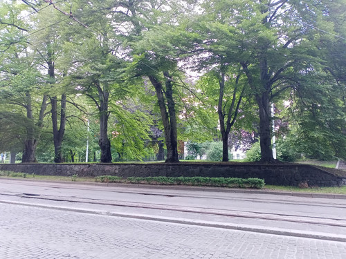 IMG20220612200702 01.jpg