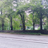 IMG20220612200702 01