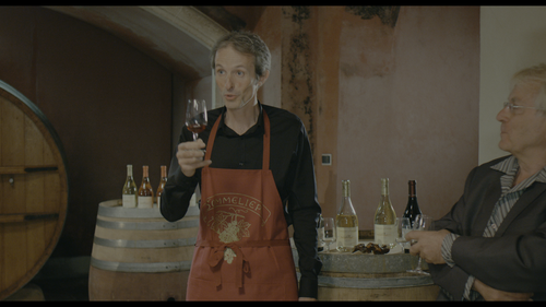 Alibi.com.2017.UHD.BluRay.REMUX.2160p.HEVC.DTS HD.MA5.1 HDS.mkv 20220622 133704.763.png