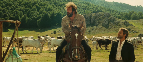They.Call.Me.Trinity.1970.BluRay.Pad.1080p.AAC.x265 10bit HDSPad.mp4 20220621 094619.137.png