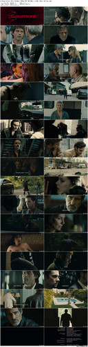 A.Gang.Story.2011.BluRay.1080p.DTS HD.MA5.1.x265.10bit BeiTai preview.jpg