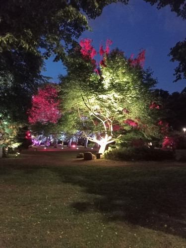 IMG20220618224517 01.jpg