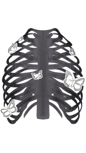 92675B73 2073 4EBC B479 F98F231A89C2.png