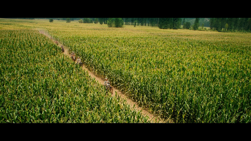 My.Country.My.Parents.2021.BluRay.REMUX.1080p.AVC.TrueHD5.1 HDS.mkv 20220614 192501.039.png