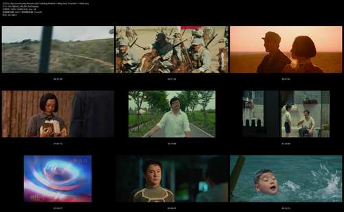 My.Country.My.Parents.2021.BluRay.REMUX.1080p.AVC.TrueHD5.1 HDS.mkv.png