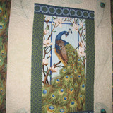 IMG 4176