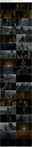 The.Northman.2022.UHD.BluRay.2160p.TrueHD.Atmos.7.1.x265.10bit.HDR BeiTai preview.jpg
