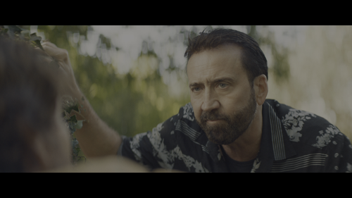 The.Unbearable.Weight.of.Massive.Talent.2022.UHD.BluRay.REMUX.2160p.HEVC.TrueHD7.1.Atmos HDS.mkv 202.png