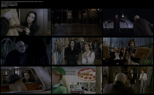 The.Addams.Family.1991.UHD.BluRay.REMUX.2160p.HEVC.DTS HD.MA5.1 HDS.mkv.png