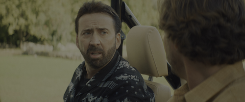 The.Unbearable.Weight.of.Massive.Talent.2022.2160p.HDR.UHD.BluRay.TrueHD.7.1.Atmos.x265 10bit HDS.mk.png