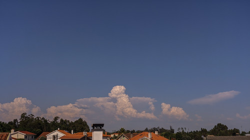 IMG 20220611 173117.jpg