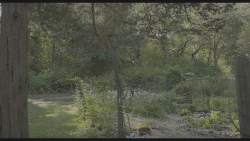 CODA.2021.UHD.BluRay.REMUX.2160p.HEVC.DTS HD.MA5.1 HDS.mkv 20220606 204427.222.png