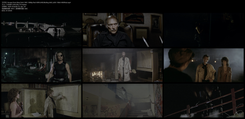 Escape.from.New.York.1981.1080p.Pad HDR.UHD.BluRay.AAC.x265 10bit HDSPad.mp4.png