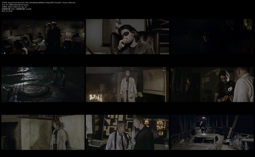 Escape.from.New.York.1981.UHD.BluRay.REMUX.2160p.HEVC.TrueHD7.1.Atmos HDS.mkv.png