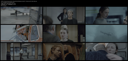The.Burning.Sea.2021.2160p.HDR.UHD.BluRay.TrueHD.7.1.2Audio.x265 10bit HDS.mkv.png