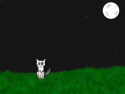 FF443D32 B37B 4501 8907 D2A731B23946