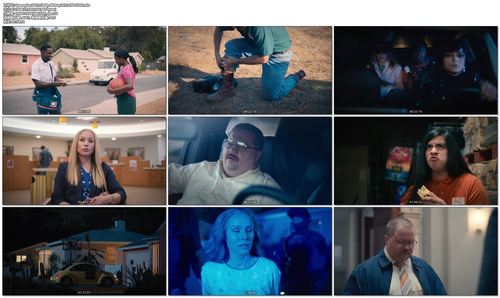 Queenpins.2021.1080p.BluRay.DTS.x264 HDS.mkv.png