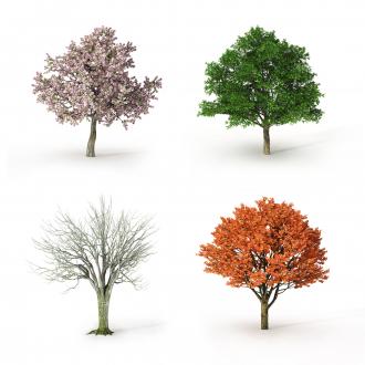 4 saisonss.jpg