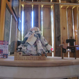 IMG 4291