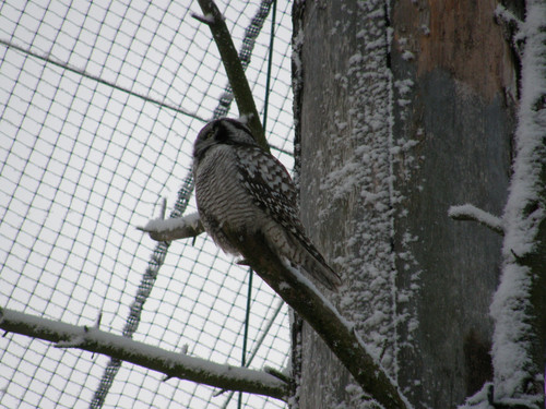 OLYMPUS DIGITAL CAMERA.jpg