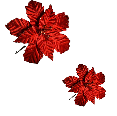 1 removebg preview.png