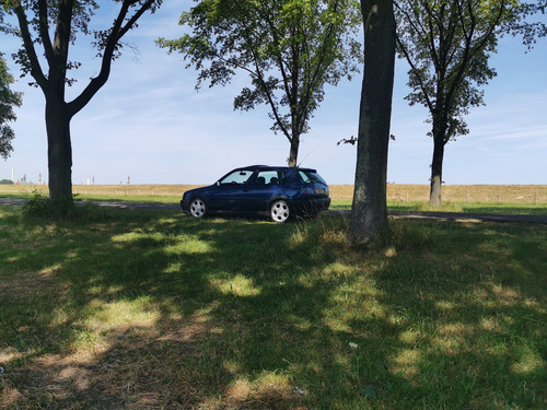 IMG 20220717 123513.jpg