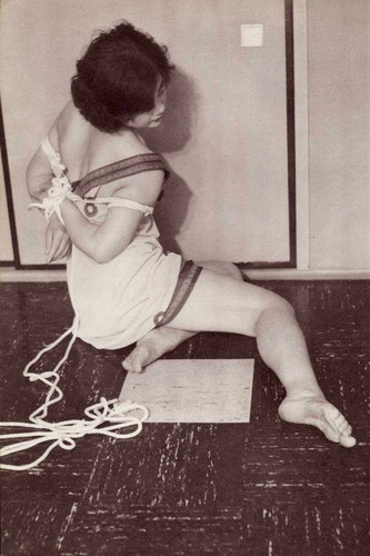 tumblr oue85qZODg1sluvb7o1 1280.jpg