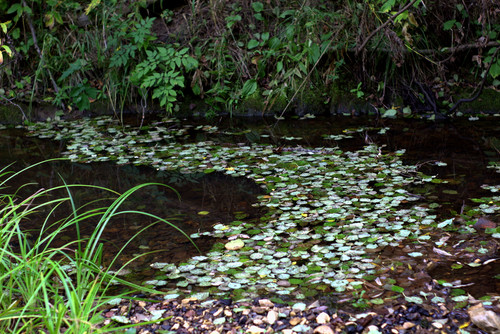 IMG 0913.jpg