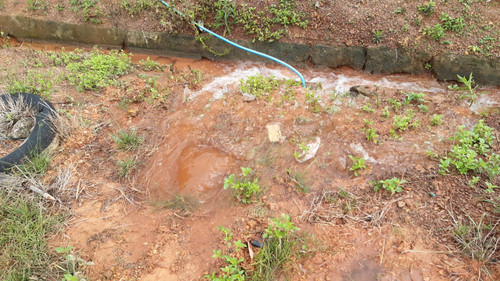 WhatsApp Image 2022 09 16 at 1.08.04 PM.jpg