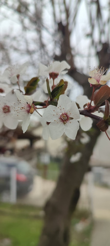 IMG 20220330 140153.jpg