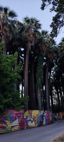 IMG 20220709 203645.jpg