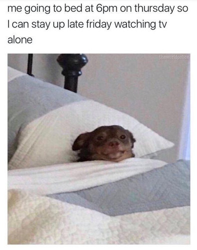 386776B9 3F55 4F04 A33B D4ACC4562556.jpg