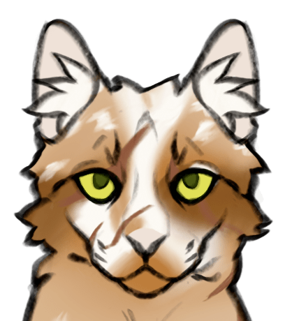 IMG 3442.png