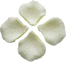 images?q=tbn:ANd9GcRfFfRfZO9SkCMngWizYjRieY Cg3j4q7 Un4NWyYghhpW1FxLTxeXJ aY6CZsigvcGnLA&usqp=CAU.jpg