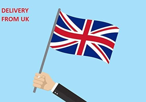 31KsDejSgdL. AC .jpg