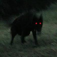 43494815 7EBB 4D94 9284 E405691FABDB.jpg