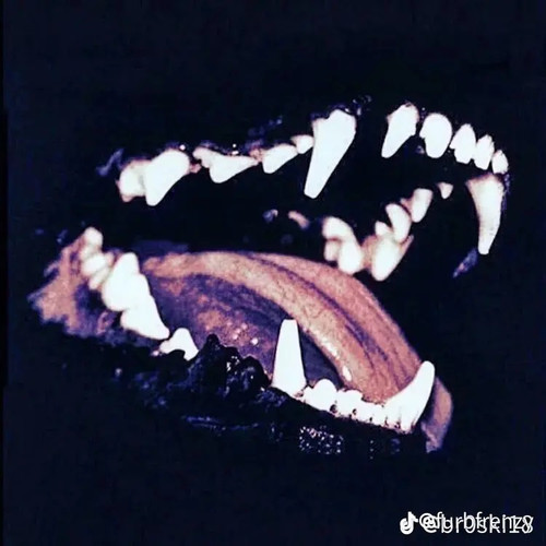 614A24A6 F246 4A11 8732 908D721B35BA.jpg