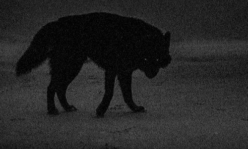 326F6DC3 11AA 43D7 A3B2 8F9EC0577D00.jpg