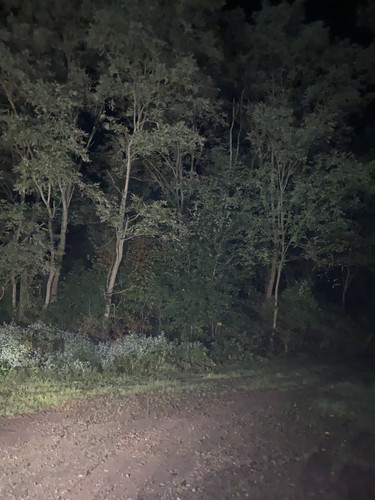 5253BA99 A819 40A6 AEFB 08EDC002ABA3.jpg