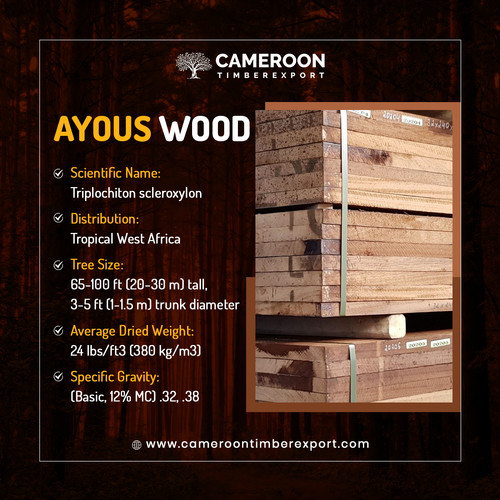 105 Ayous Wood.jpg