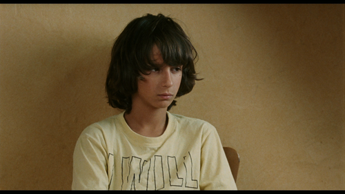 Les.neiges.du.Kilimanjaro.2011.BluRay.REMUX.1080p.AVC.DTS HD.MA5.1 HDS.mkv 20220918 225008.242.png