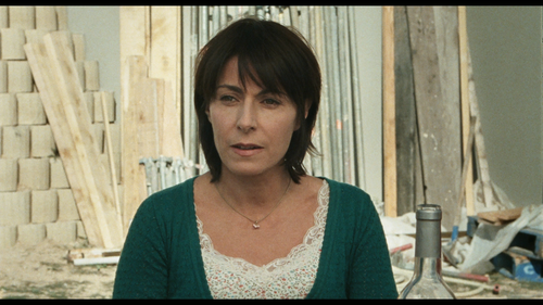 Les.neiges.du.Kilimanjaro.2011.BluRay.REMUX.1080p.AVC.DTS HD.MA5.1 HDS.mkv 20220918 225003.700.png