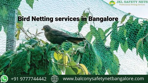 Bird Netting services in Bangalore.jpg